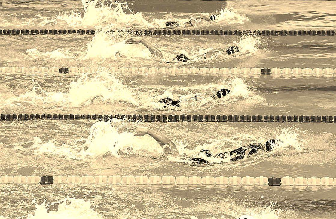 Tulane tuyển Phó Giám đốc Aquatics: tín hiệu từ tầng đáy của bơi lội Mỹ