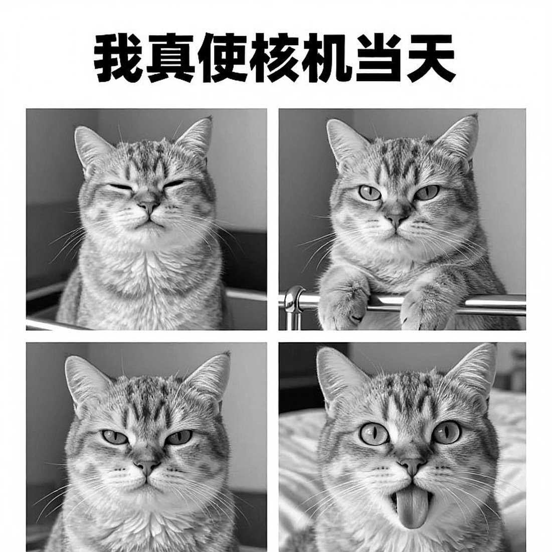 Phân tích thể thao không thể thực hiện do thiếu dữ liệu đầu vào Phân tích thể thao không thể thực hiện do thiếu dữ liệu đầu vào