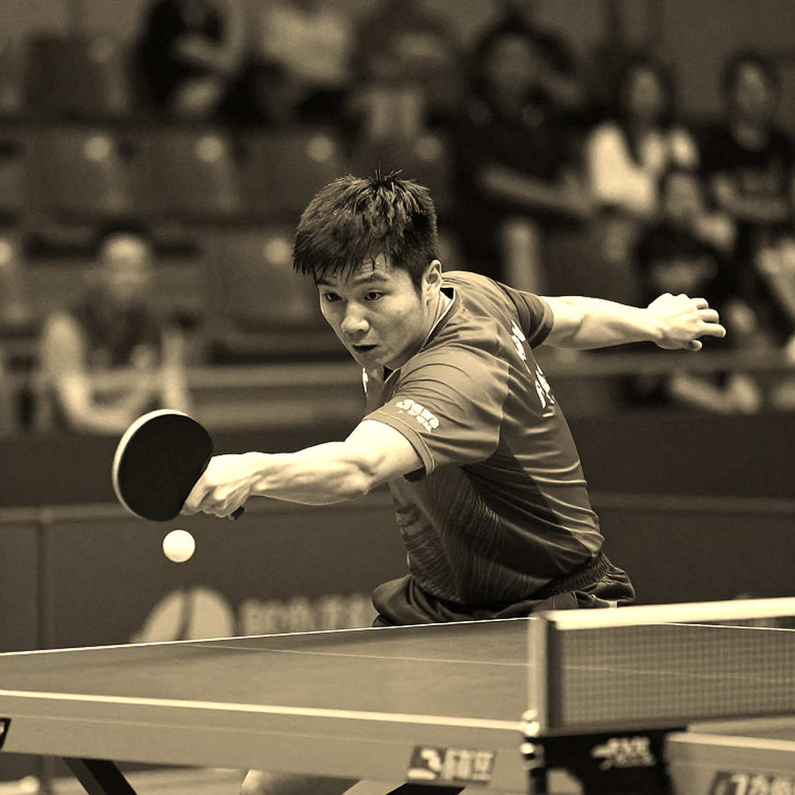 Sau Paris 2026, bóng bàn thế giới bước vào cuộc tái cấu trúc lực lượng
