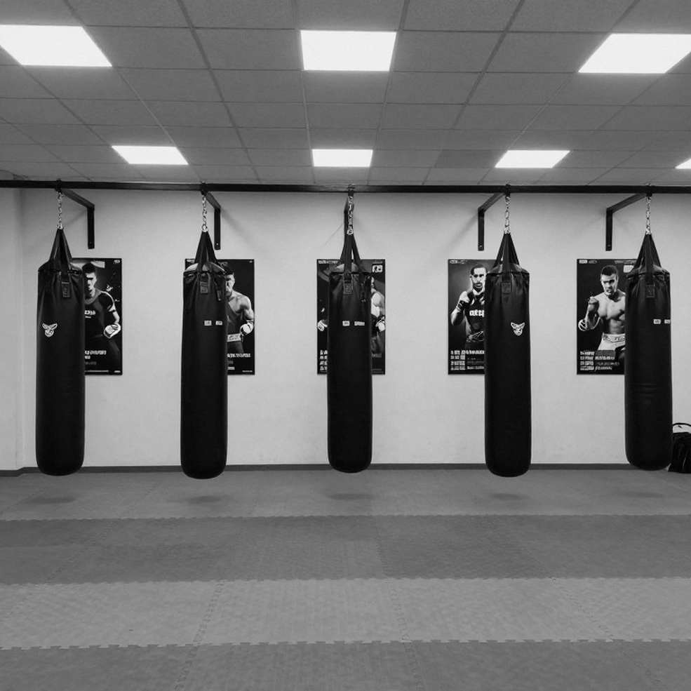 Vietnamese Traditional Martial Arts: When Tradition Meets the Data Problem Vietnamese Traditional Martial Arts: When Tradition Meets the Data Problem