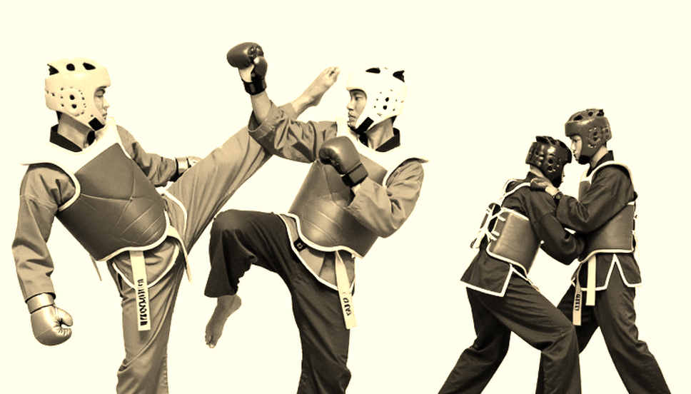 Vietnamese Traditional Martial Arts: When Tradition Meets the Data Problem Vietnamese Traditional Martial Arts: When Tradition Meets the Data Problem