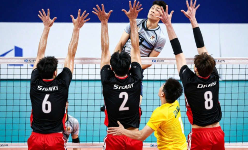 "Nhà vô địch thật sự" ở Ixtapaluca: Khi một chú chó phơi bày lỗi phân loại của truyền thông thể thao "Nhà vô địch thật sự" ở Ixtapaluca: Khi một chú chó phơi bày lỗi phân loại của truyền thông thể thao
