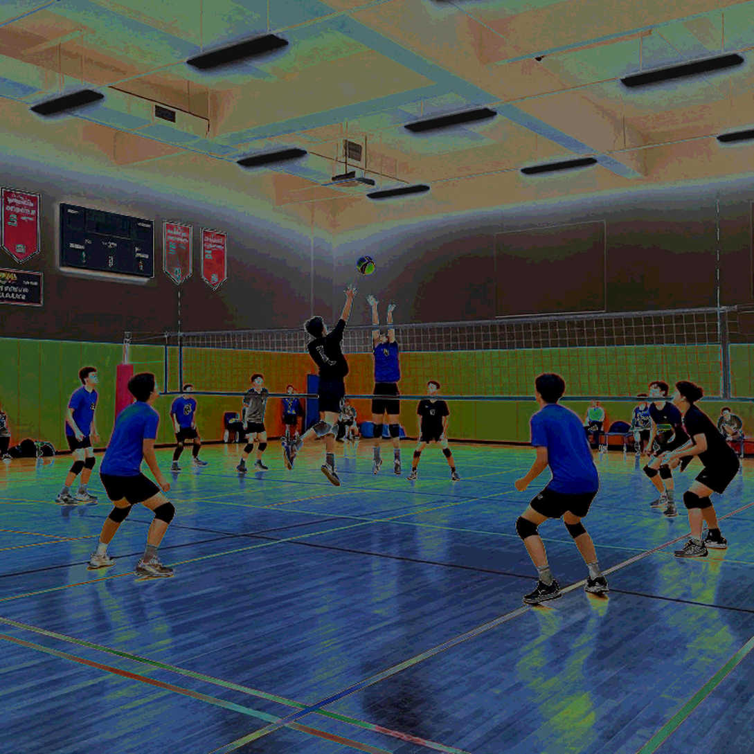 Vietnam Women's Volleyball and the First-Pass Threshold: Reading the System Before the Medal